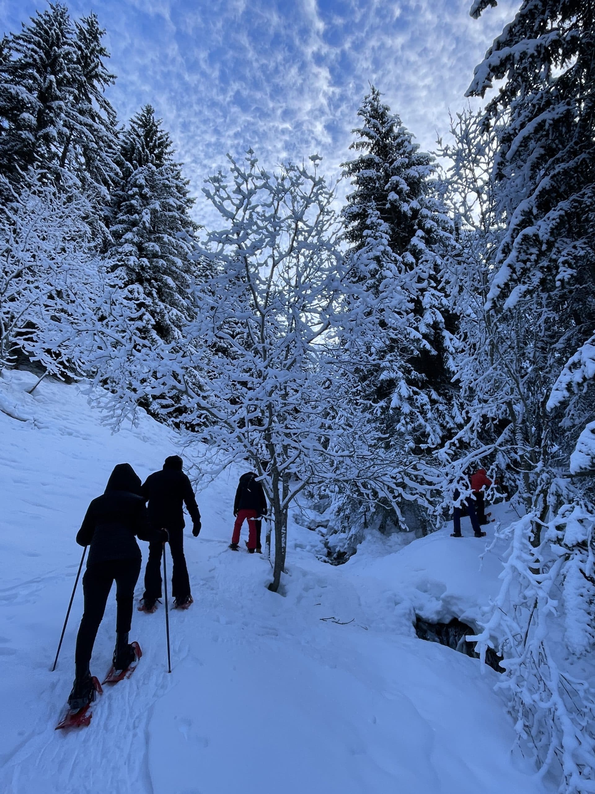 Bobsleigh in La Plagne